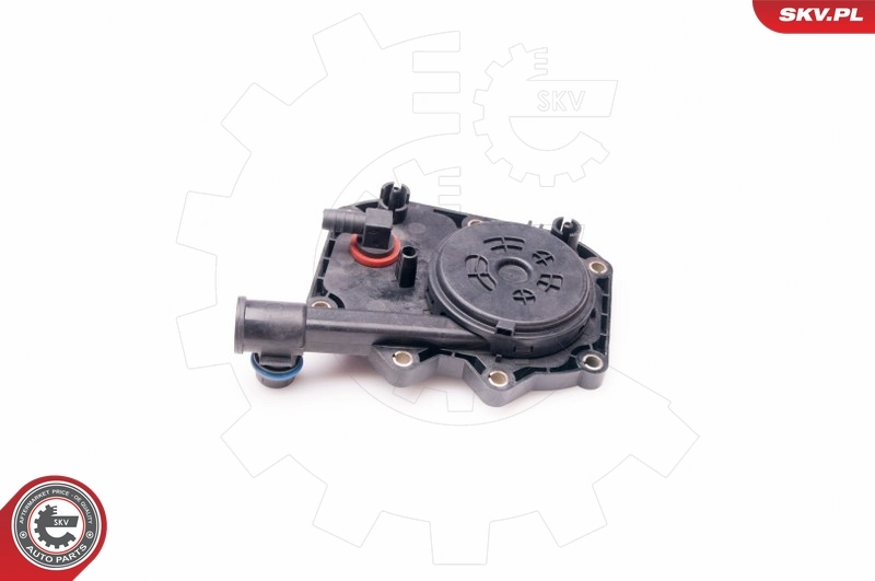 Hose, crankcase ventilation